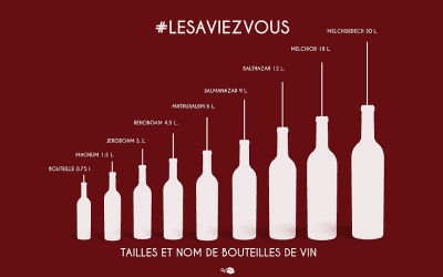 #lesaviezvous : Les différents types de bouteilles de vin.