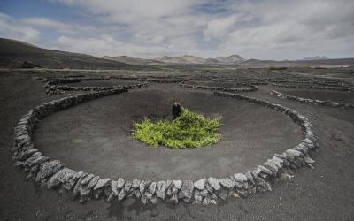 La Geria Lanzarote