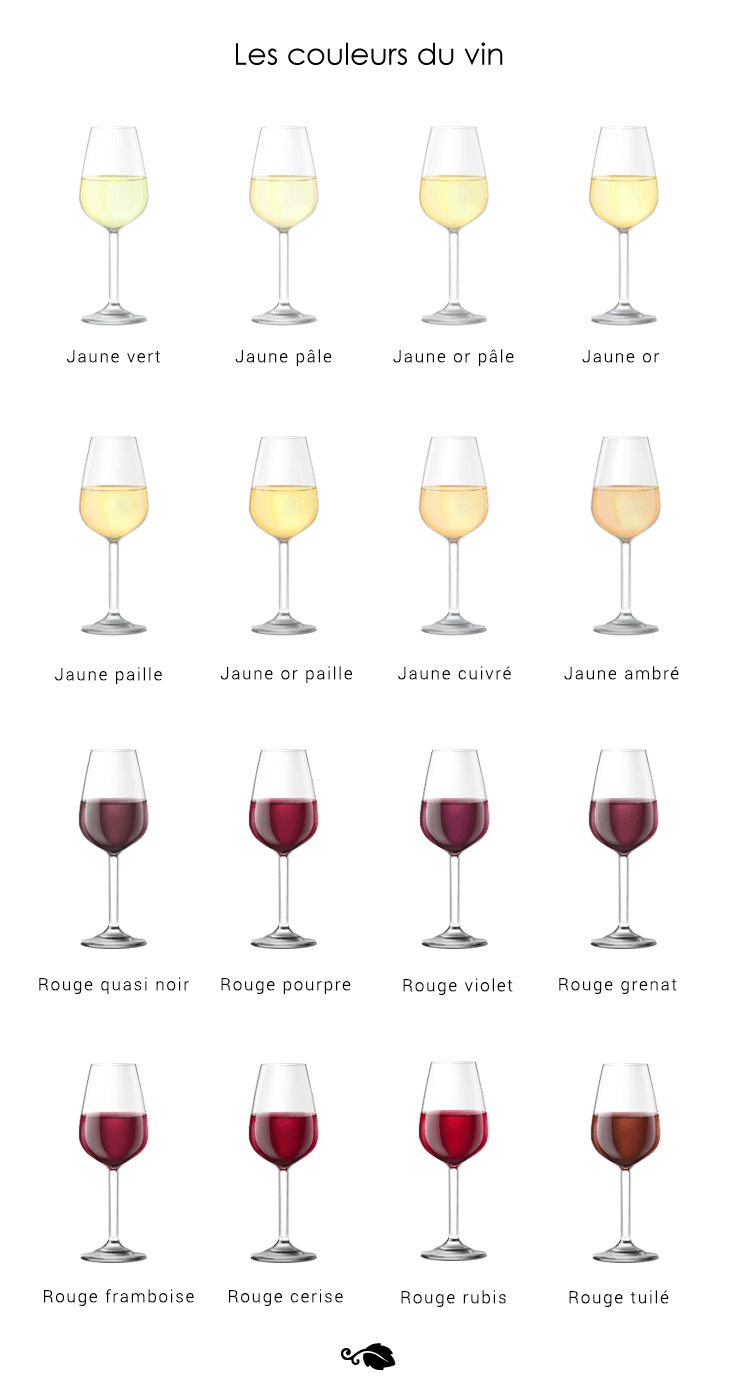 Robe couleurs vin