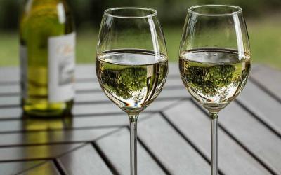 Le Chardonnay – Tout ce qu’il y a à savoir sur ce cépage blanc
