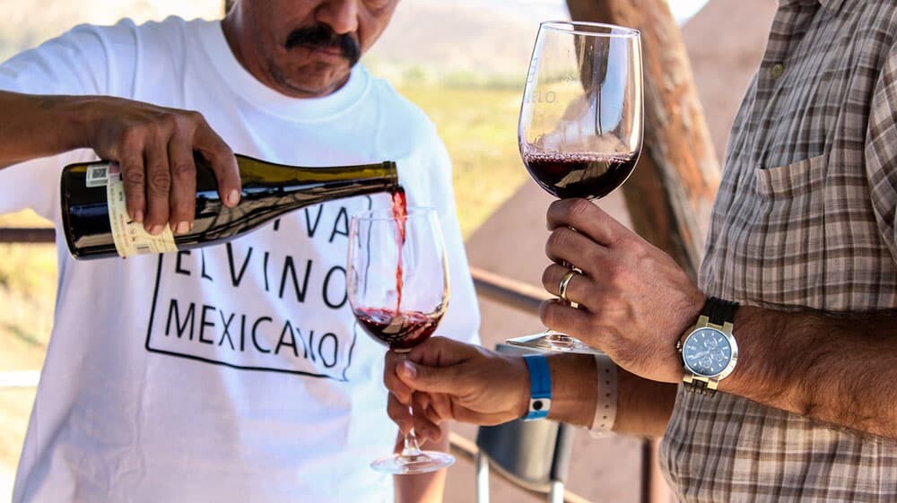 vin mexicain oenotourisme