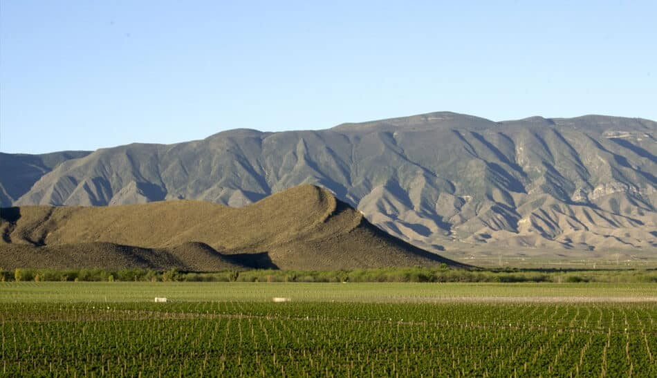 vignes valle de guadalupe route des vins