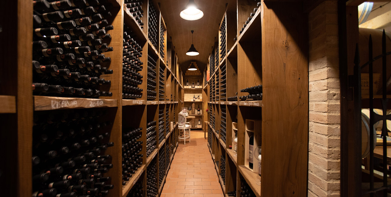 cave conservation vin