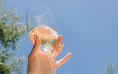 Vin blanc sec : Tout savoir sur ce type de vin blanc