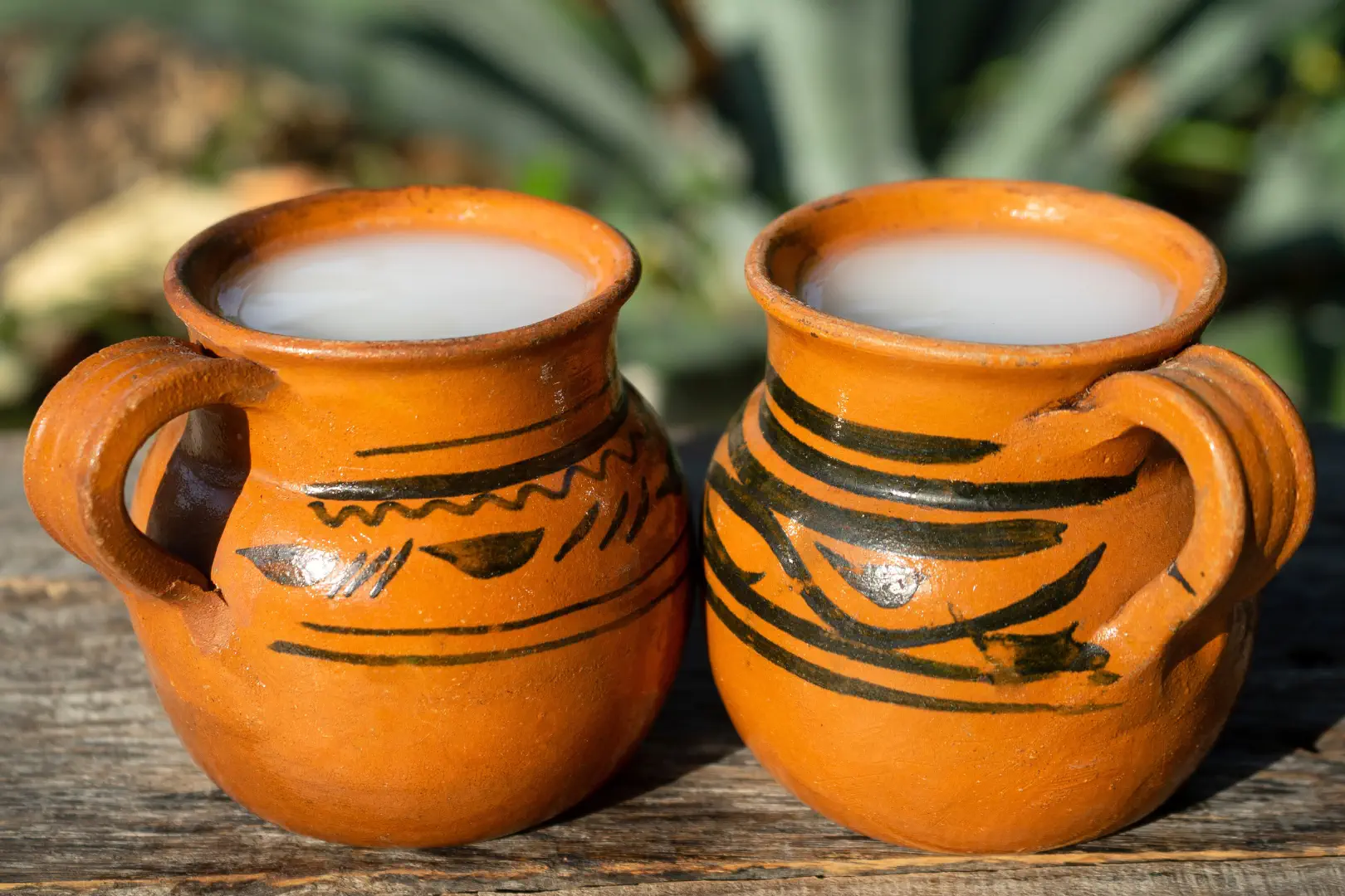 pulque boisson mexicaine traditionnelle