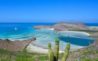 Baja California : partez à la découverte de la Basse-Californie, au Mexique !